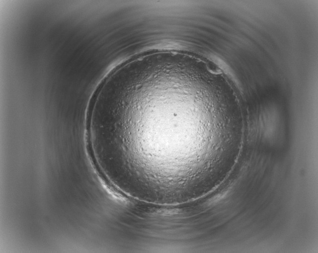 X0000070430845200606161502