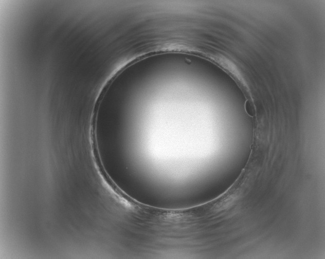 X0000070430847200606161502