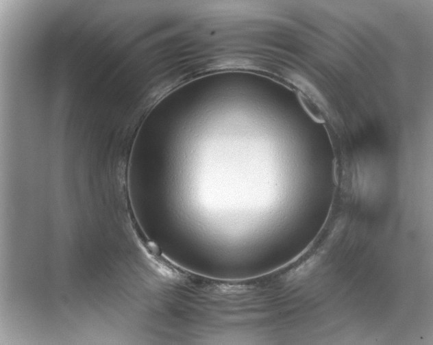 X0000070430849200606161502