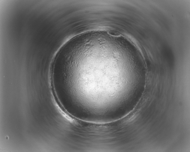 X0000070430851200606161502