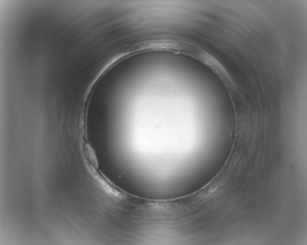 X0000070430852200606161502