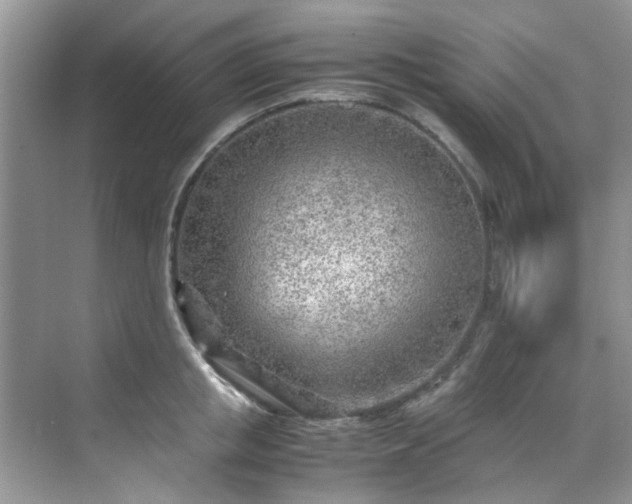 X0000070430853200606161502