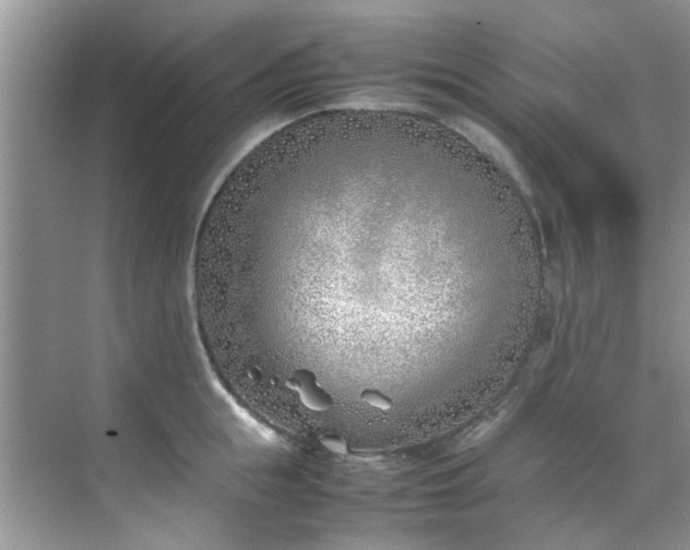 X0000070430855200606161502