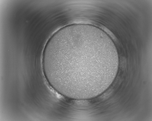 X0000070430856200606161502