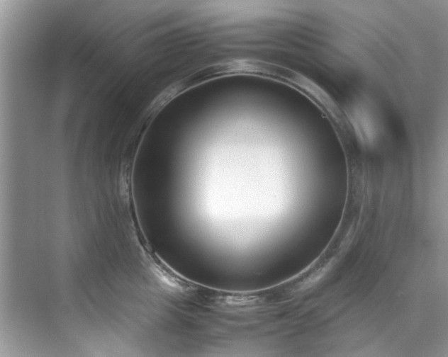 X0000070430857200606161502