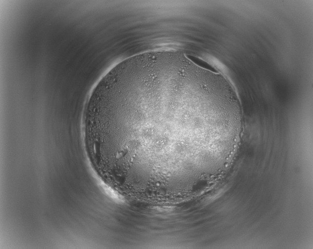 X0000070430859200606161502