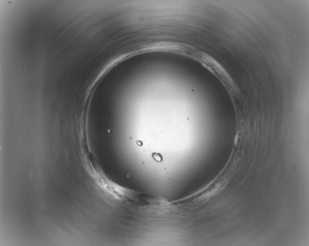 X0000070430860200606161502