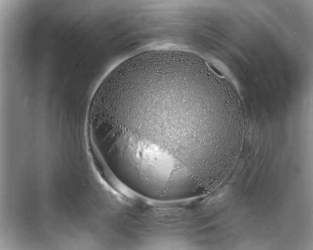 X0000070430863200606161502