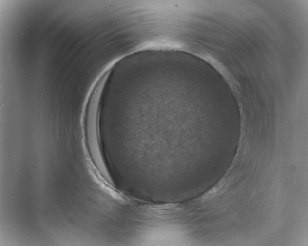 X0000070430864200606161502