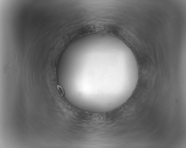 X0000070430865200606161501