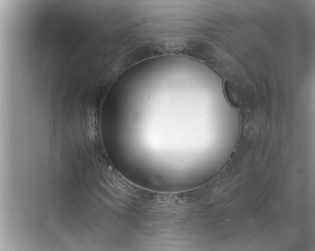 X0000070430866200606161501