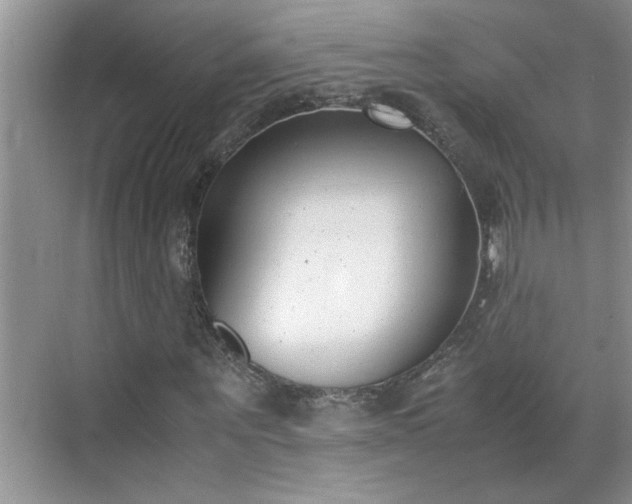 X0000070430867200606161501