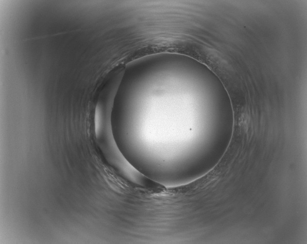 X0000070430868200606161501