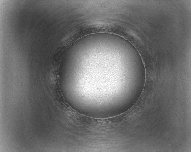 X0000070430869200606161501