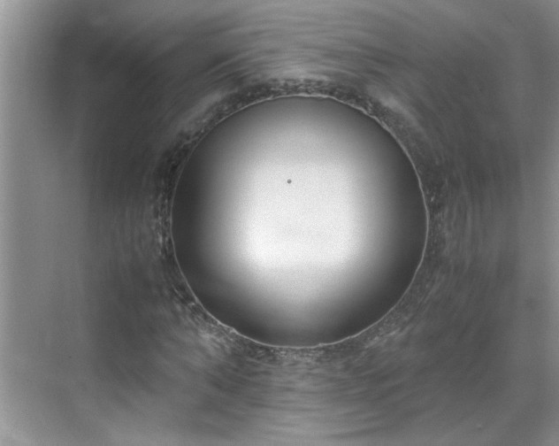 X0000070430870200606161501