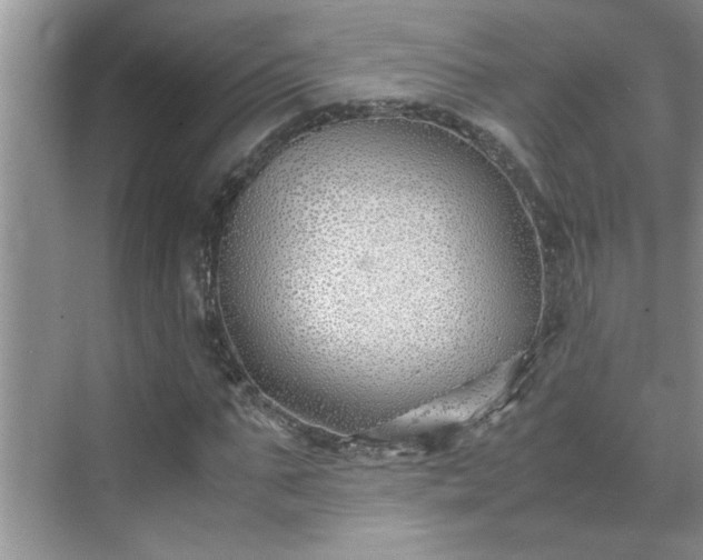 X0000070430871200606161501