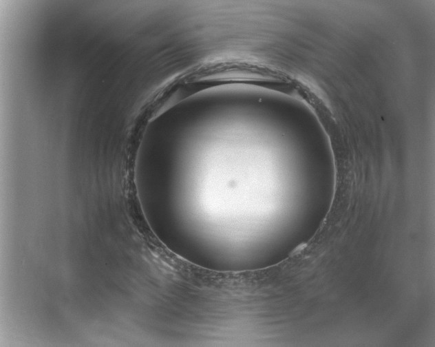 X0000070430872200606161501