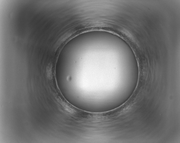 X0000070430873200606161501