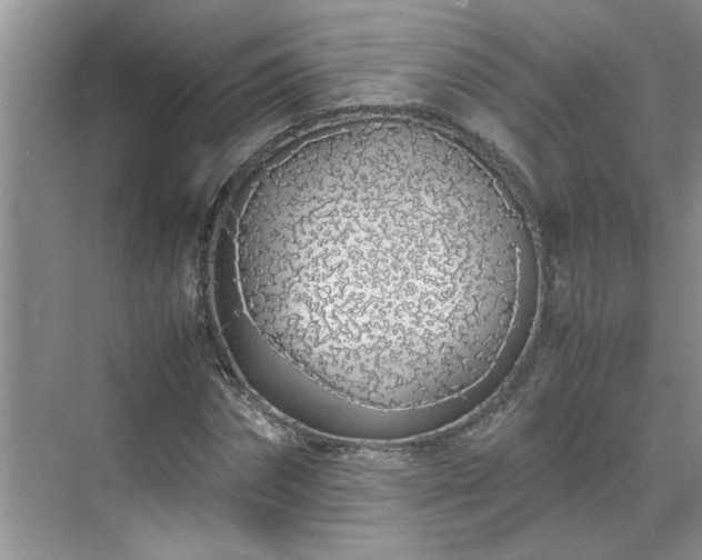 X0000070430874200606161501