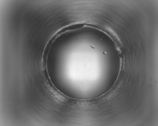 X0000070430876200606161501