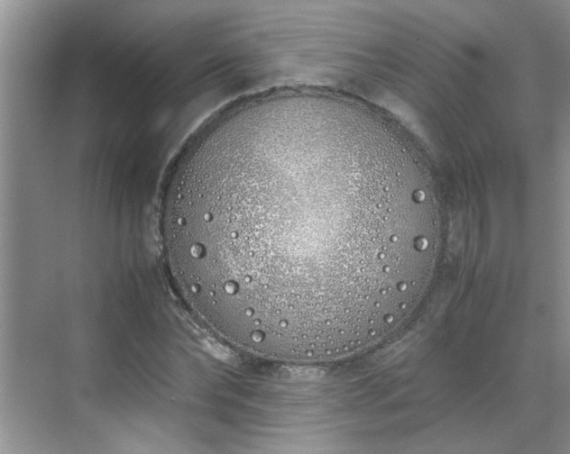 X0000070430878200606161501