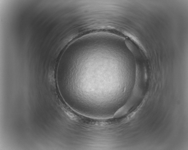 X0000070430881200606161501