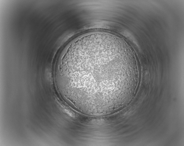 X0000070430882200606161501