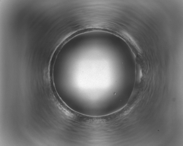 X0000070430884200606161501