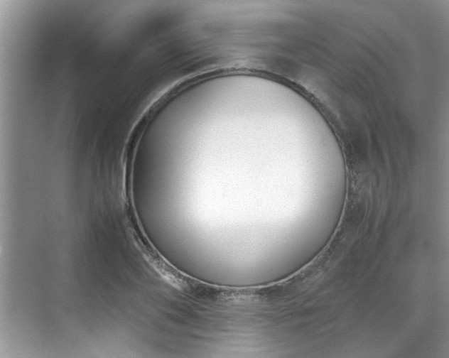 X0000070430886200606161501