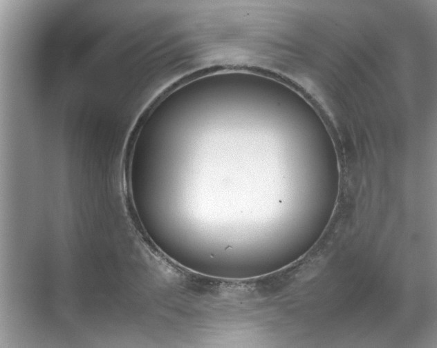 X0000070430887200606161501