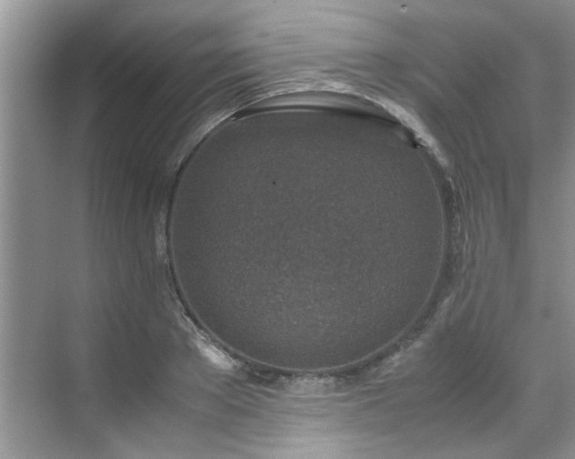 X0000070430889200606161501