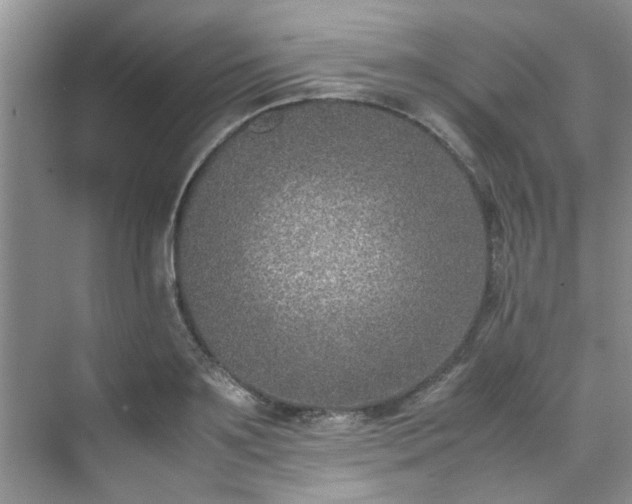 X0000070430891200606161501