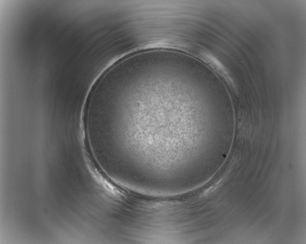 X0000070430892200606161501