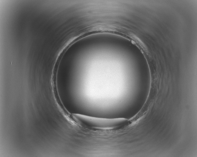 X0000070430893200606161501