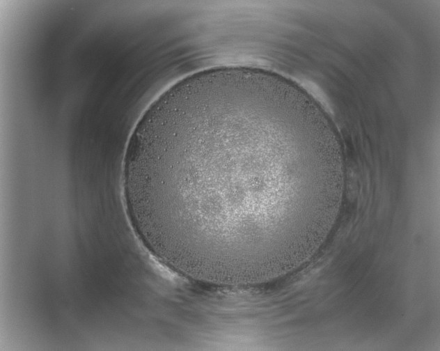 X0000070430895200606161501