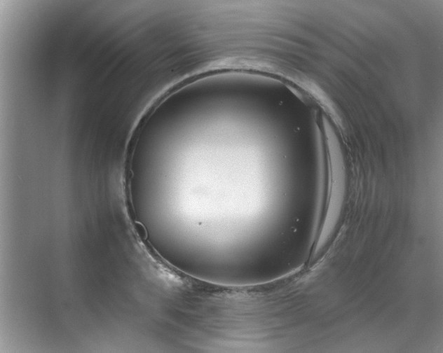 X0000070430896200606161501