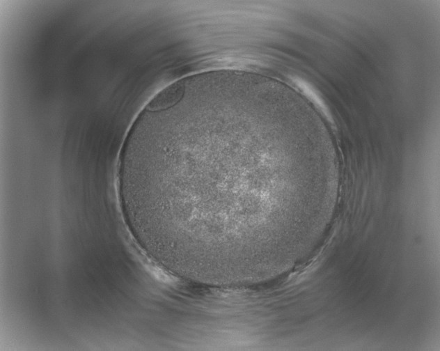 X0000070430899200606161501