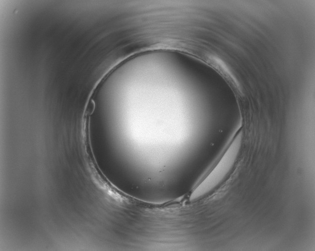 X0000070430900200606161501