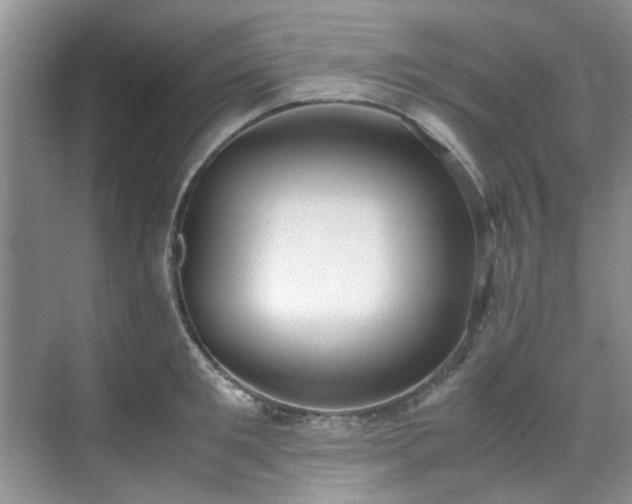 X0000070430901200606161501