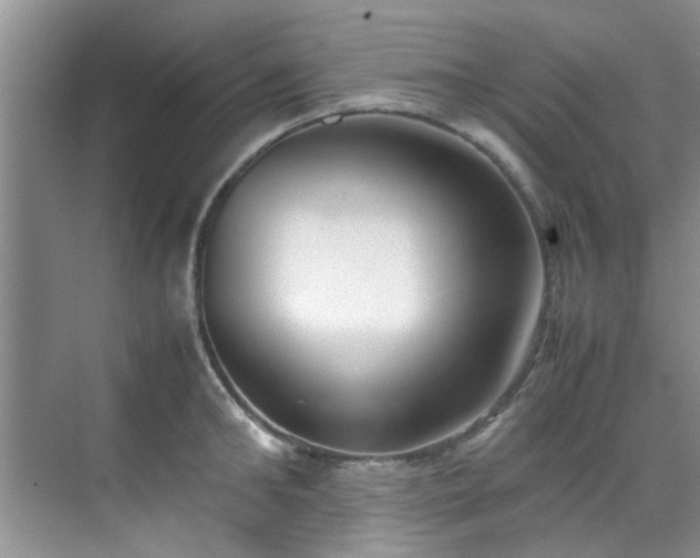 X0000070430902200606161501