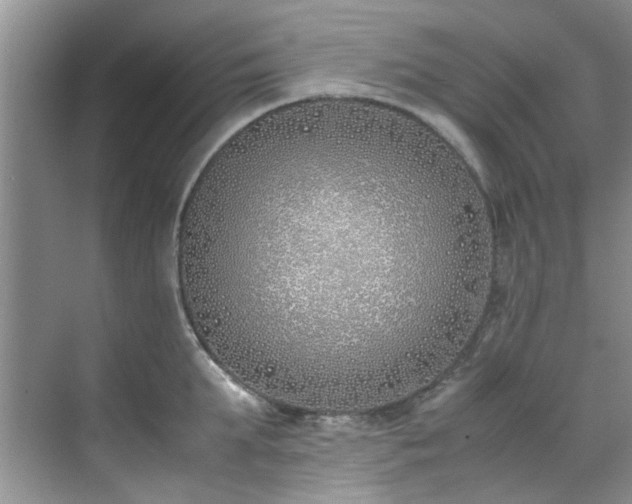 X0000070430903200606161501