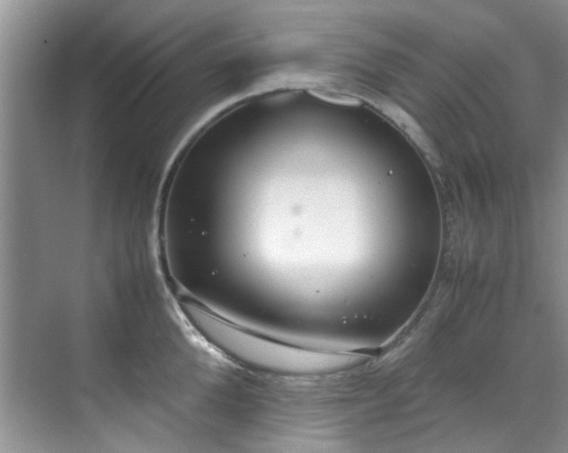 X0000070430904200606161501