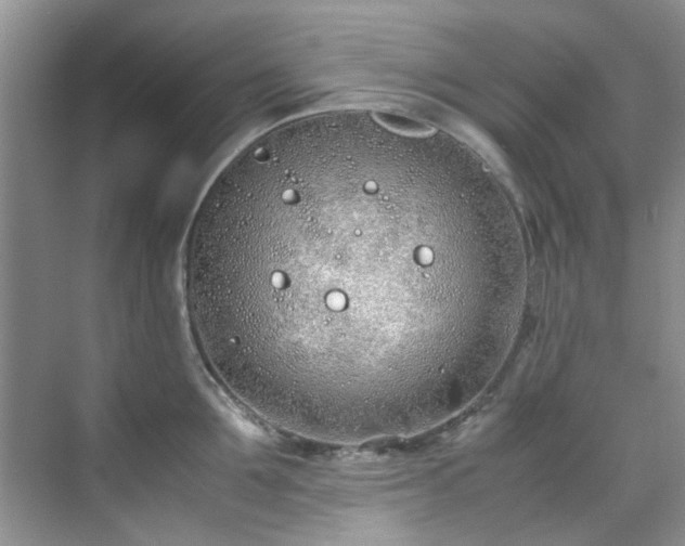 X0000070430907200606161501