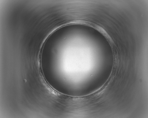 X0000070430908200606161501