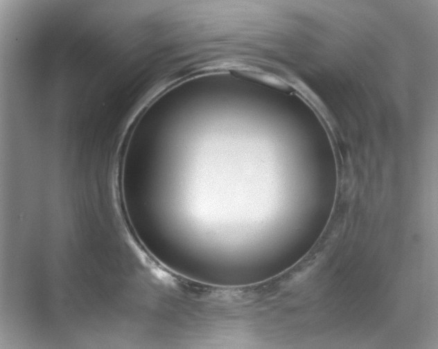 X0000070430909200606161501