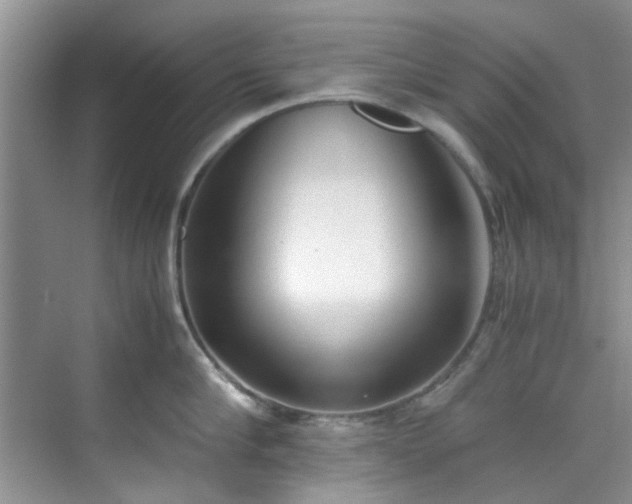 X0000070430910200606161501