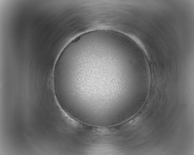 X0000070430911200606161501