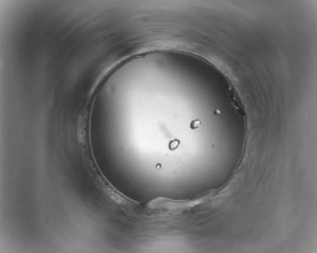 X0000070430912200606161501