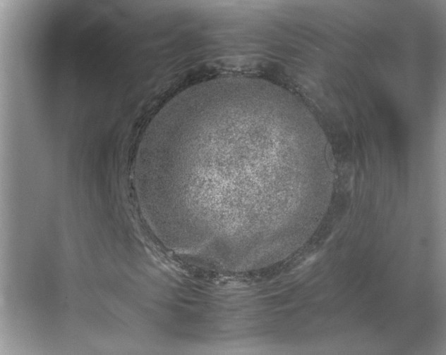 X0000070430913200606161500