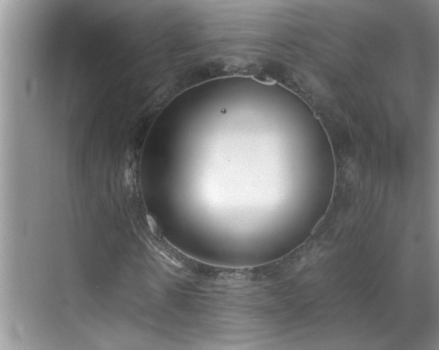 X0000070430914200606161500